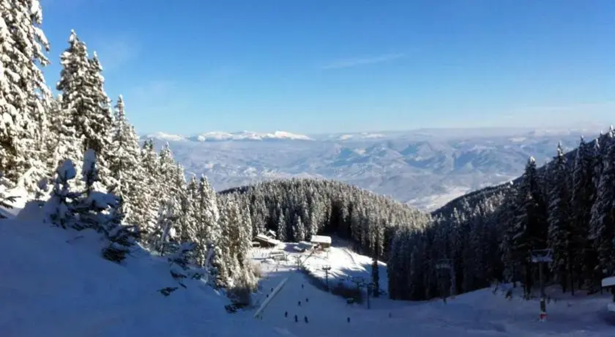 The Green Pine Chalet