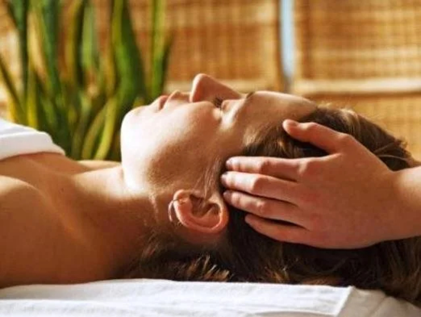 Robles De Besares Posada