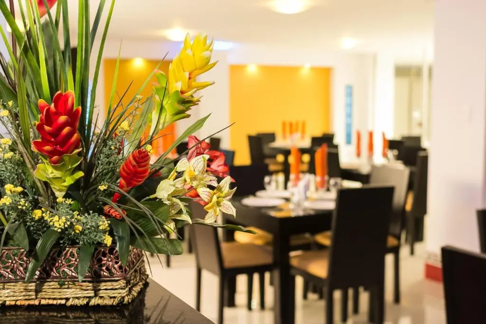 Hotel Andino