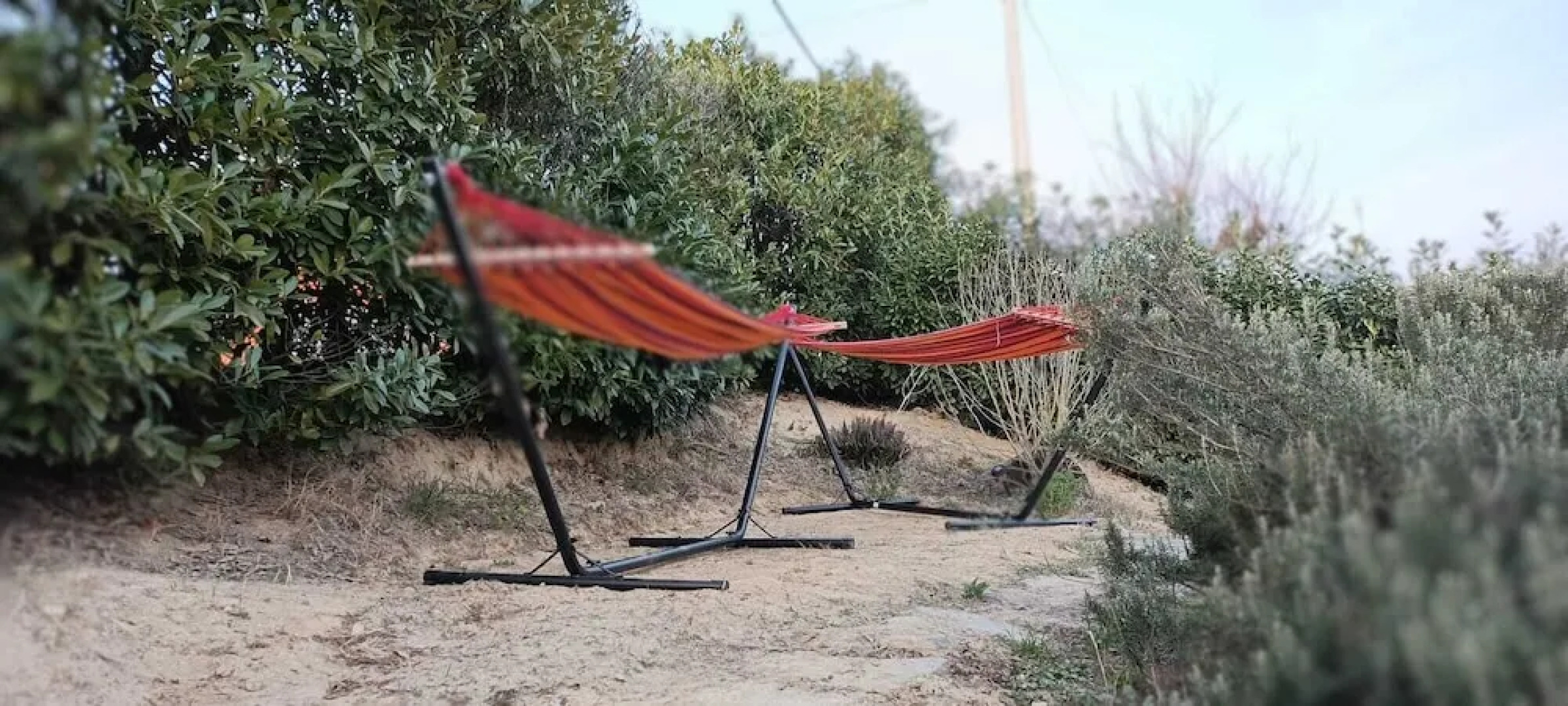 b&b Terra di collina