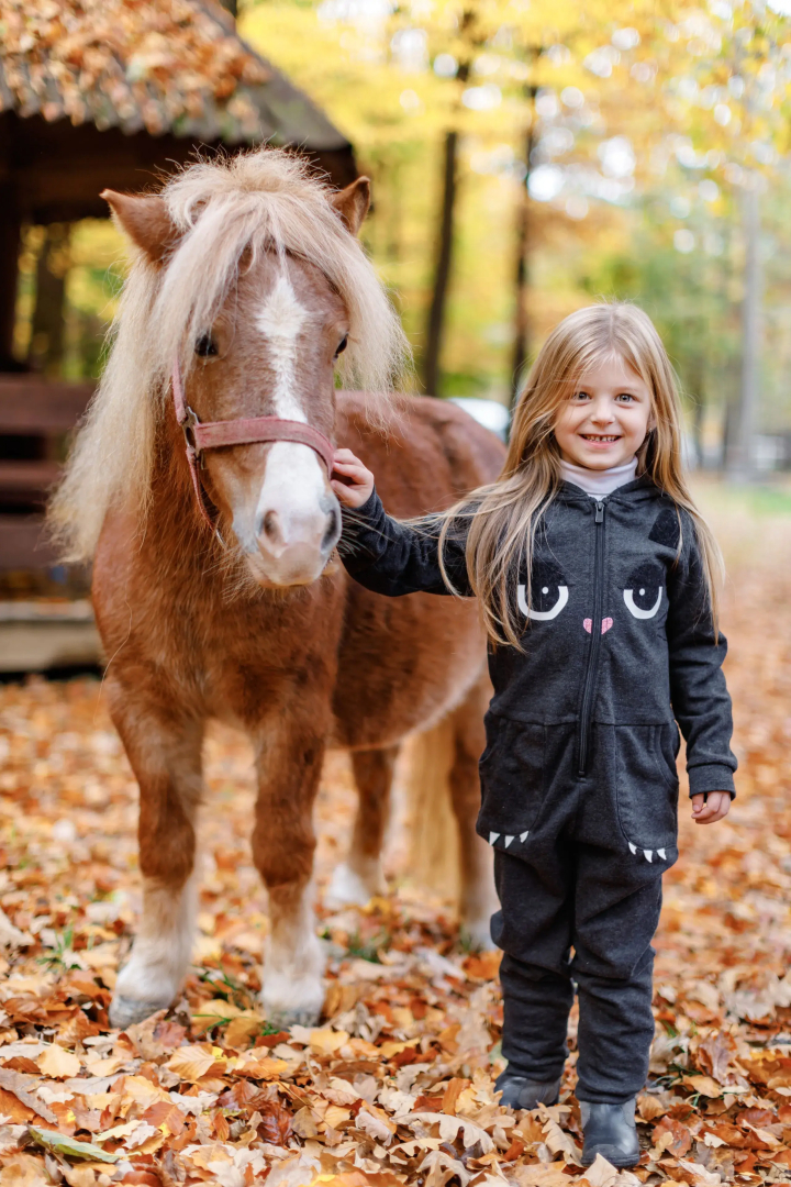 Отель Voevodyno Resort