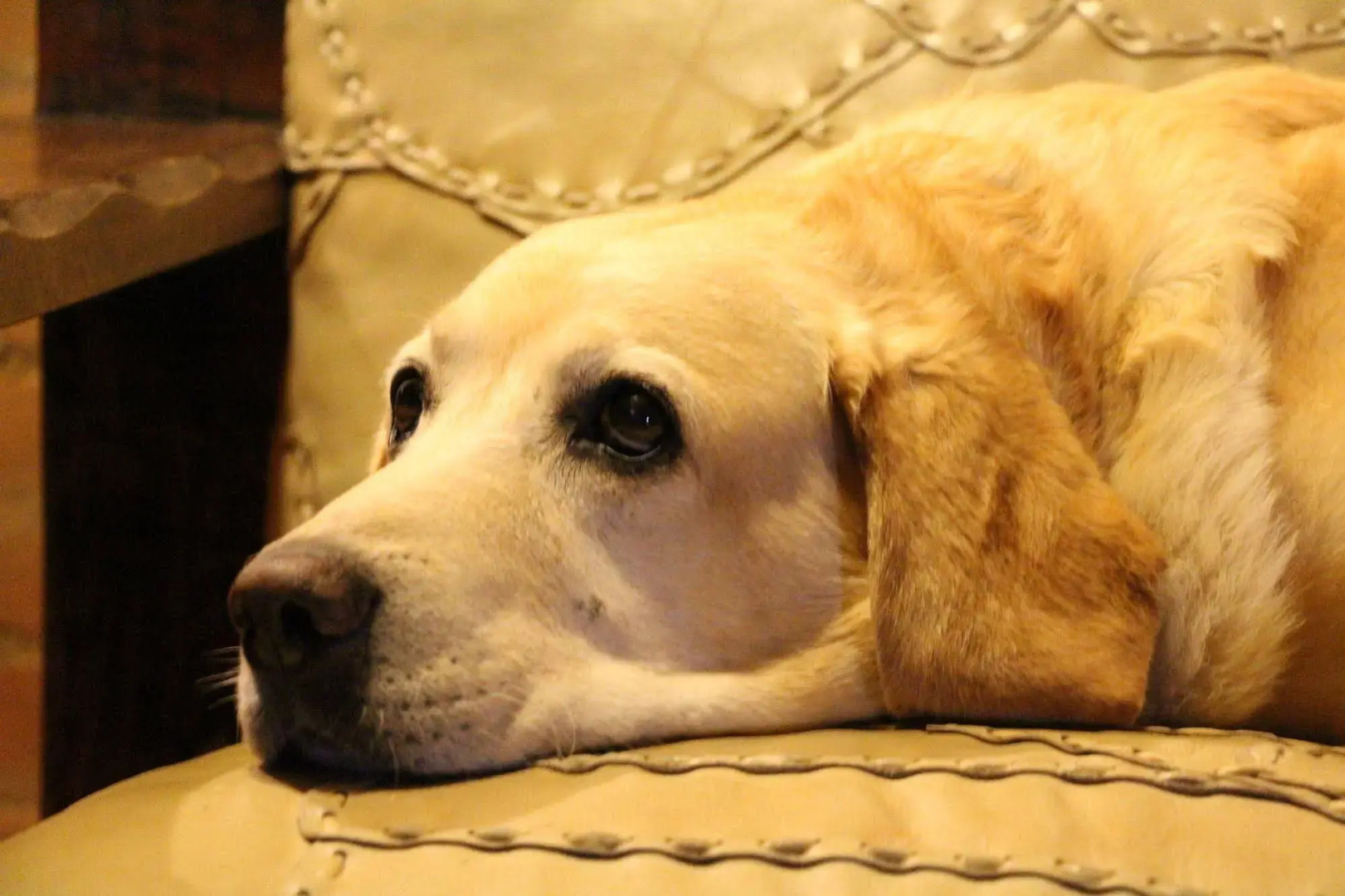 Hotel Pousada Shangri-la