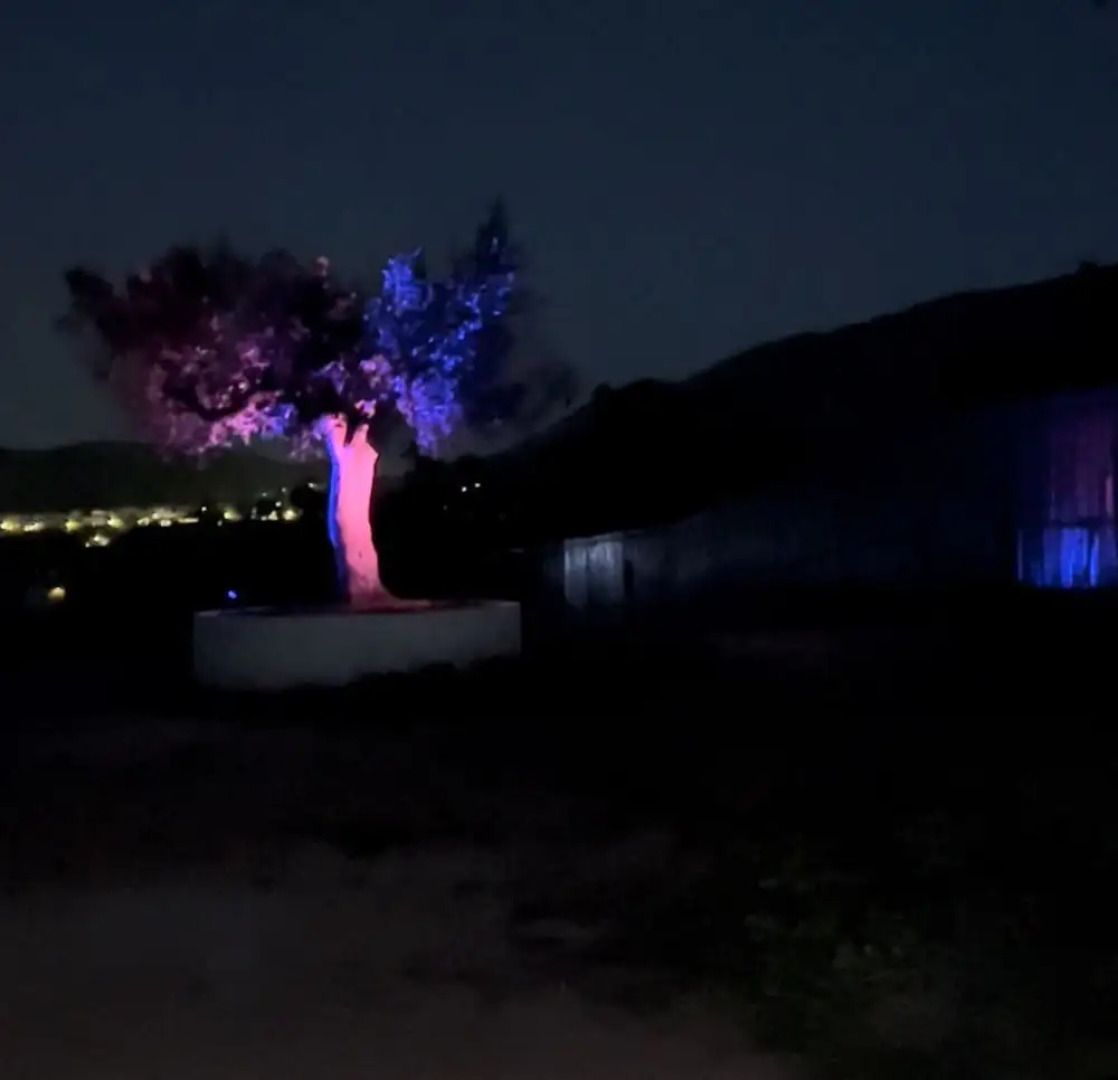 Eco Studio Flat Kalyvia Thorikou, Greece