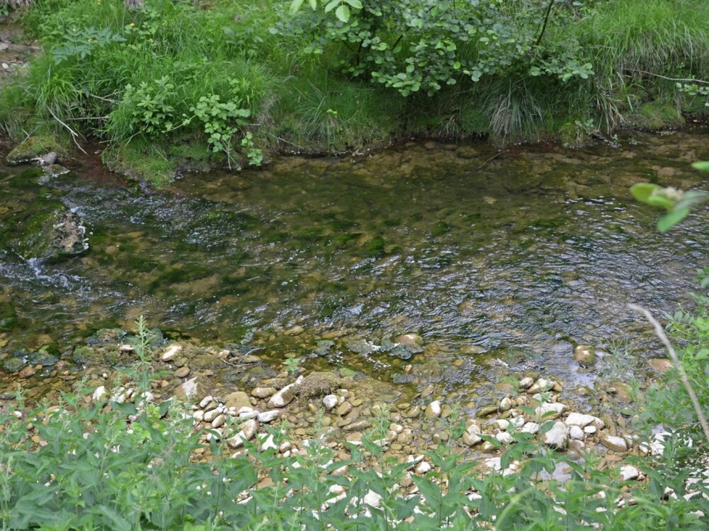 Stunning Loft in a Monastery, in Village With Park Garden and Pool