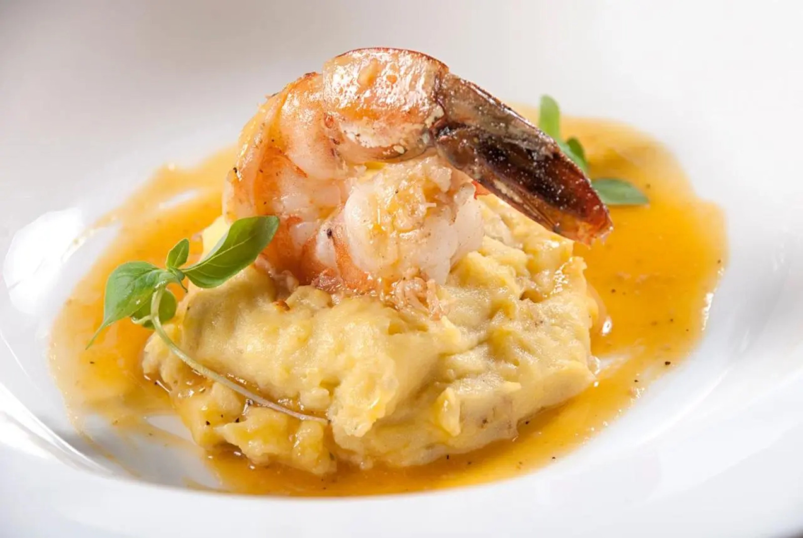 Movich Casa del Alferez