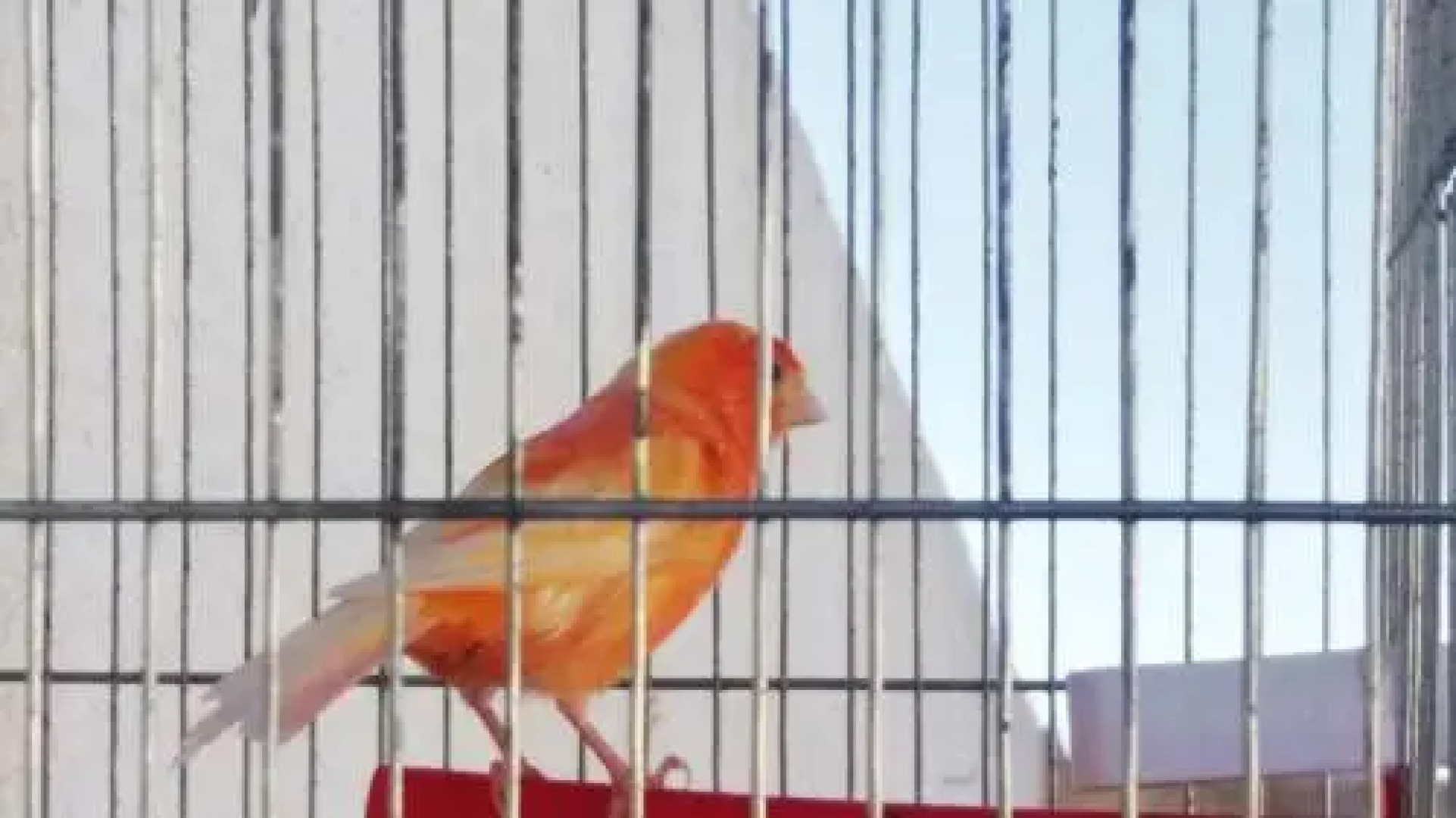 Holiday home Route Raoued Plage-Gammarth