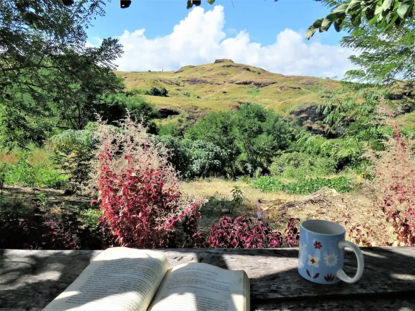 Mountain Oasis Farm Stay