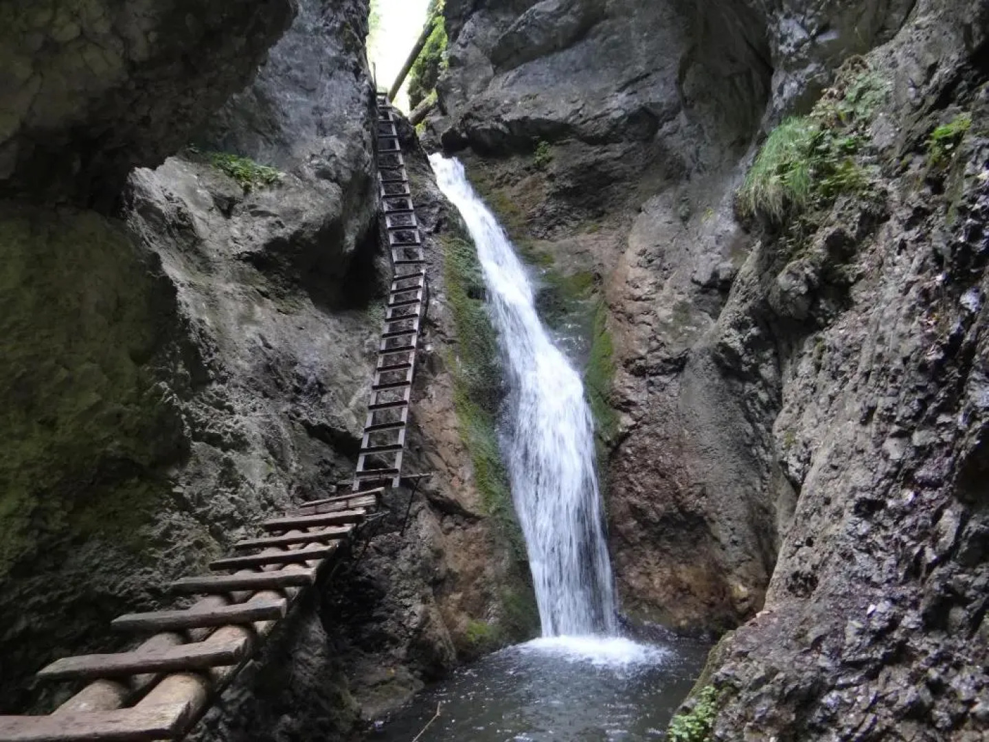 CHATY - woodyganovce sk