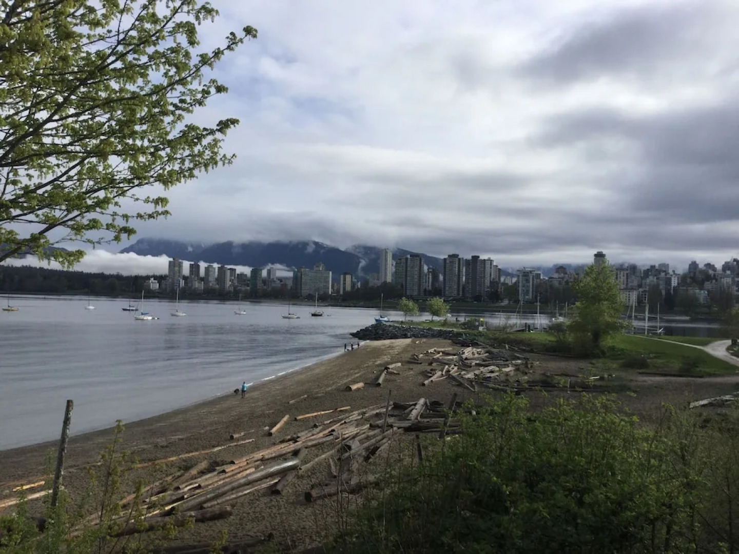 Vancouver West Luxurious House