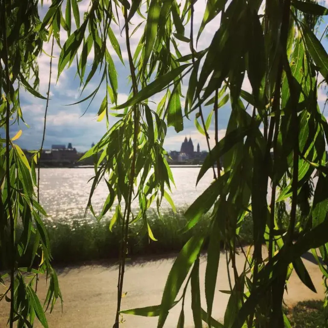 Ferienhaus Zur Mainpforte