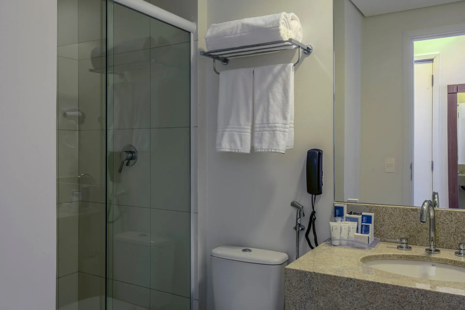 Blue Tree Towers Valinhos