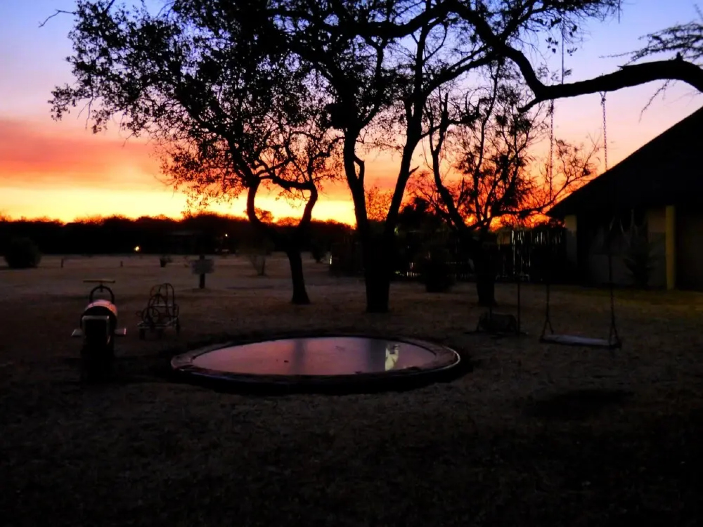 Thorn Tree Bush Camp