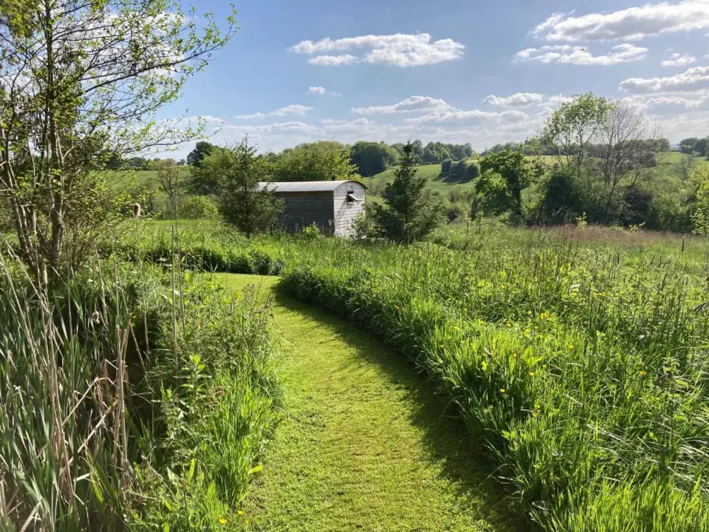 The Shepherd's Hut with seasonal Swimming Pool