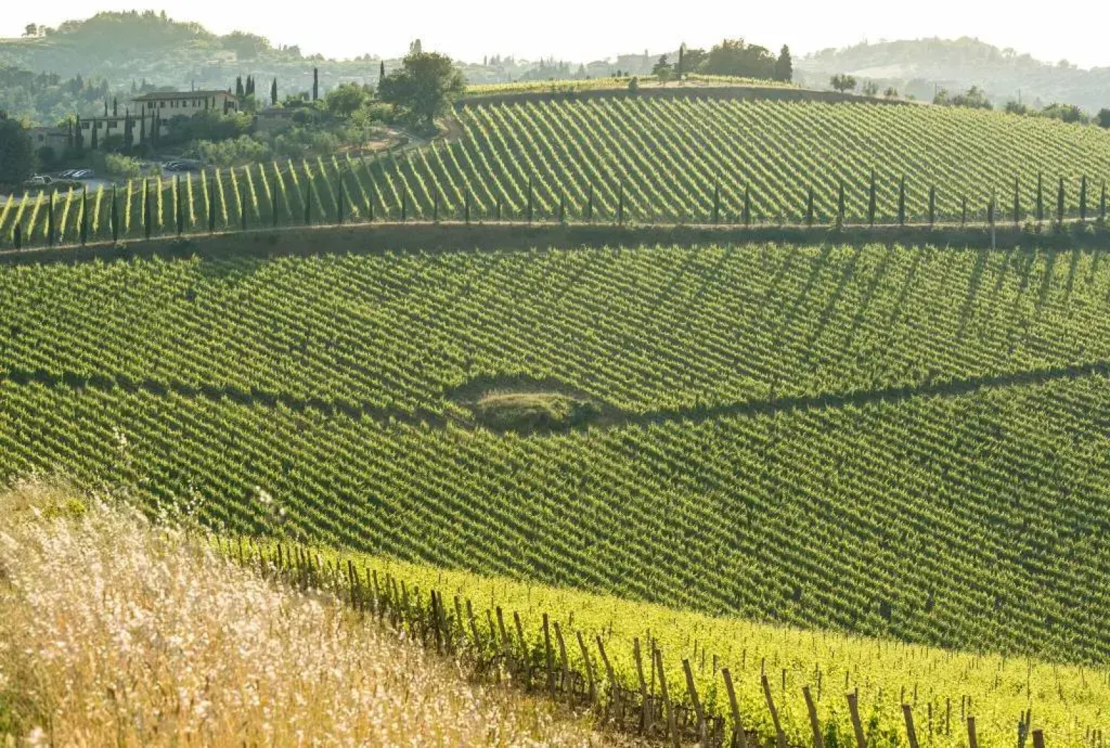 Dievole Wine Resort