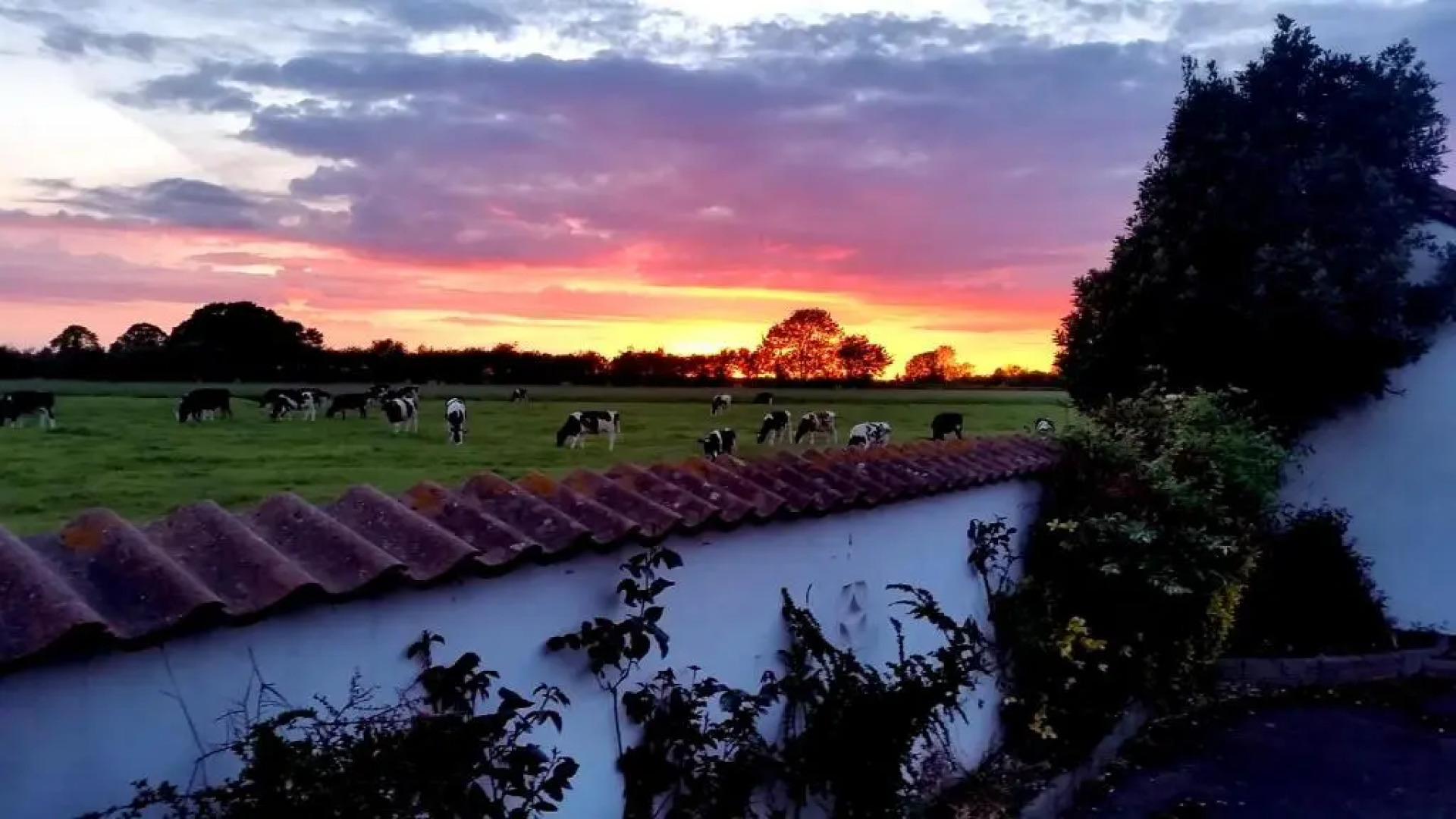 Milton's Country Lodge