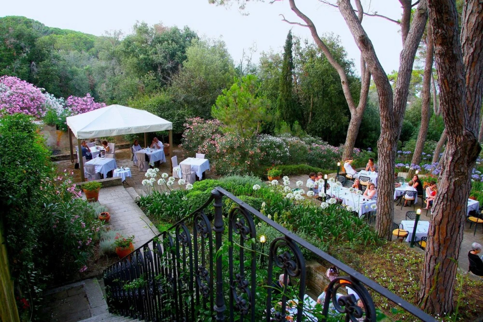 Tenuta Delle Ripalte