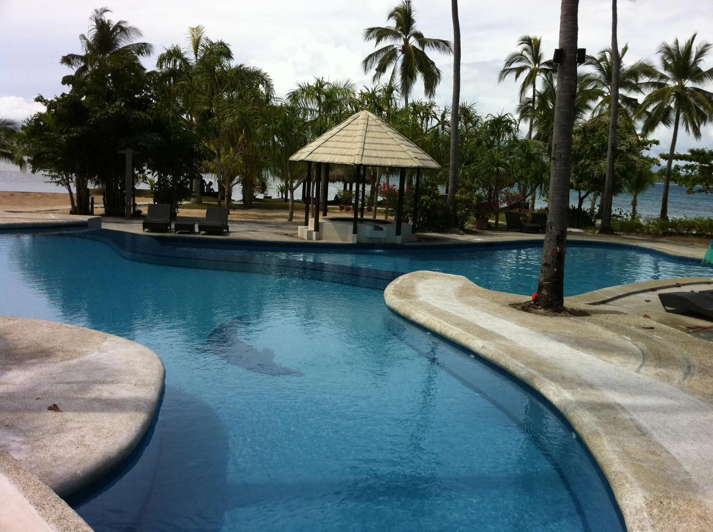 Dos Palmas Island Resort & Spa