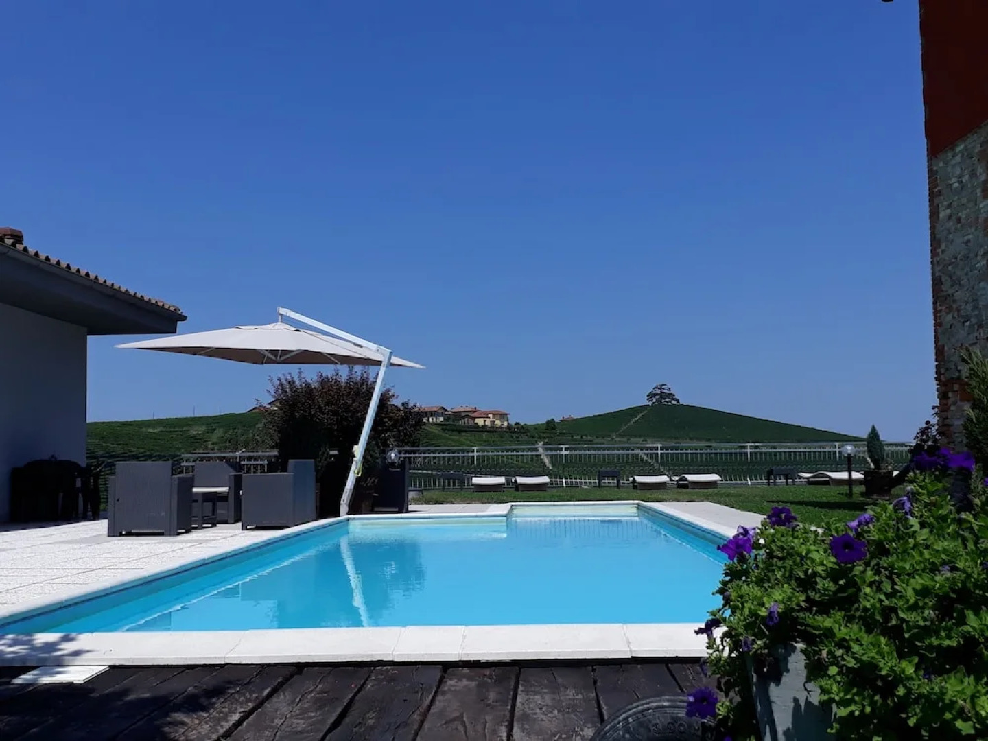 Red Wine - Guest House