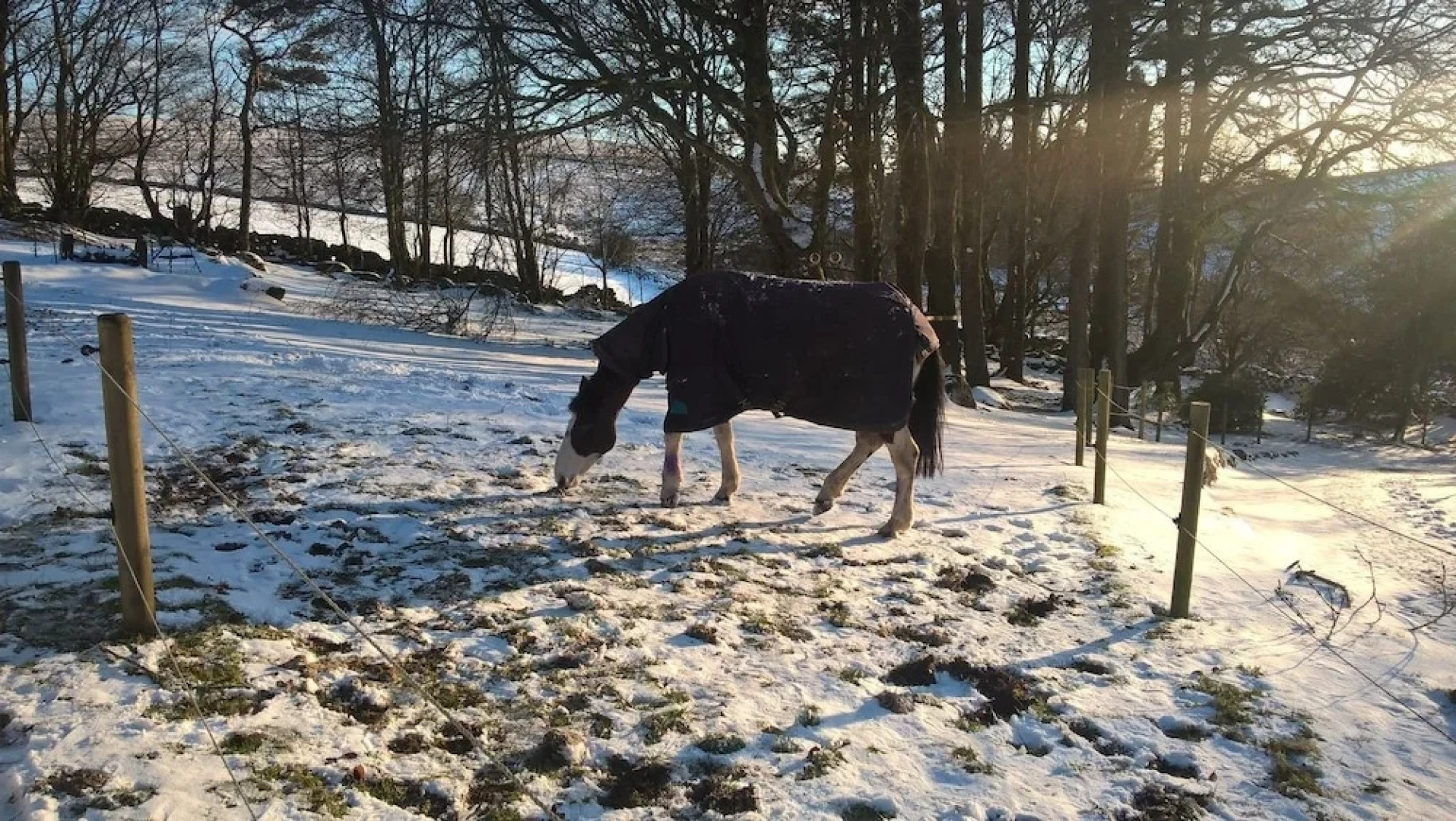 Wydemeet Bed and Breakfast