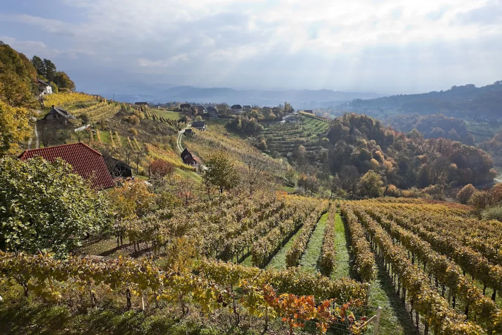 Vineyard cottage Ucman