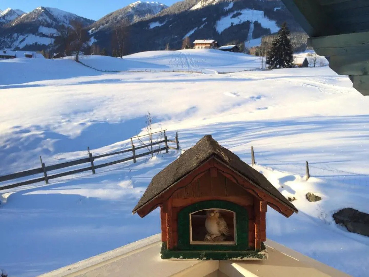 Appartement Alpenblume