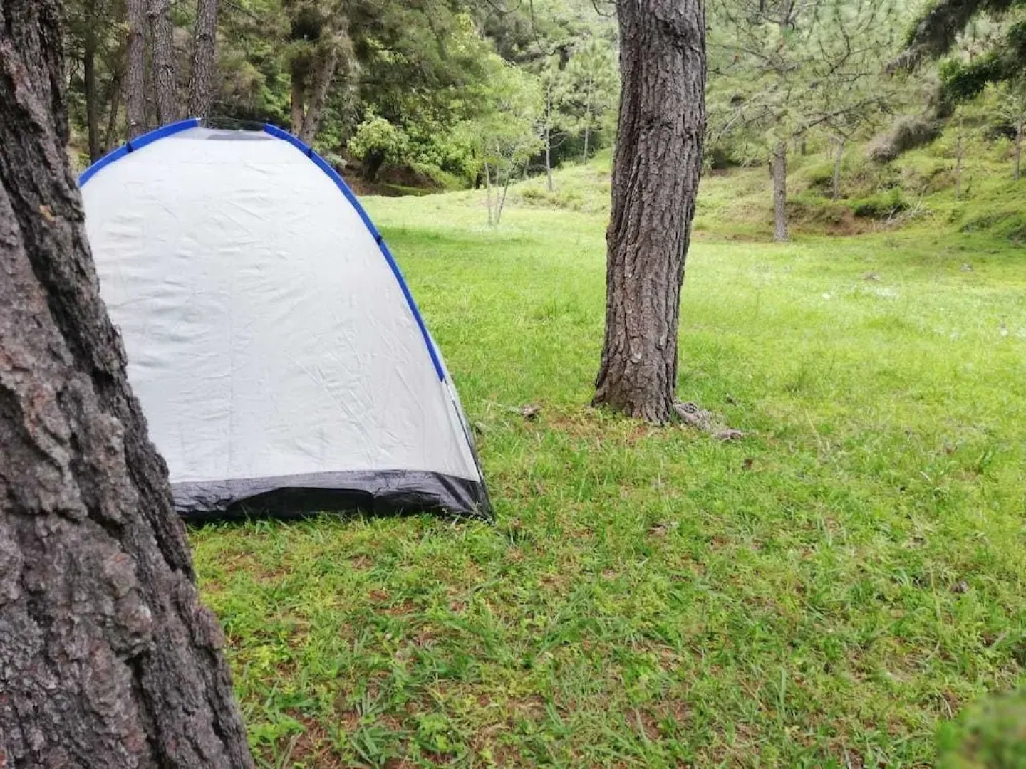 Casa Don Gil - Campsite