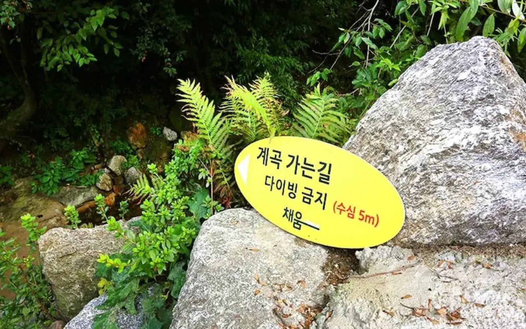 Yangpyeong Chaeum Pension