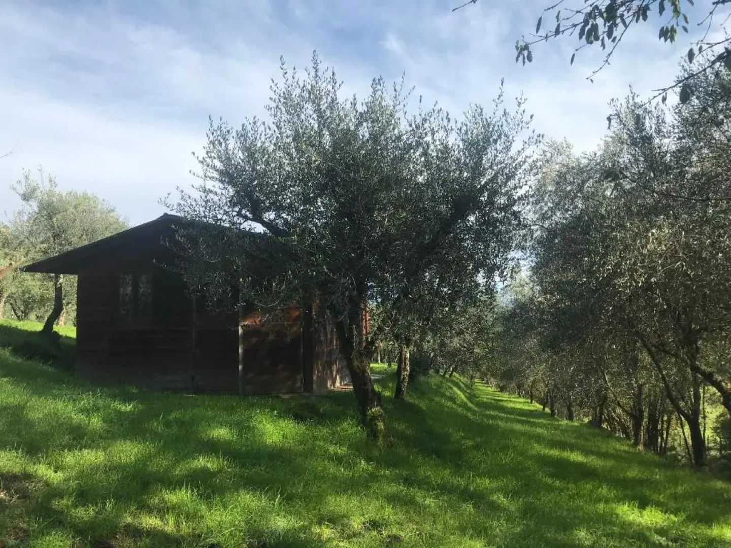 Agriturismo Podere I' Caldino