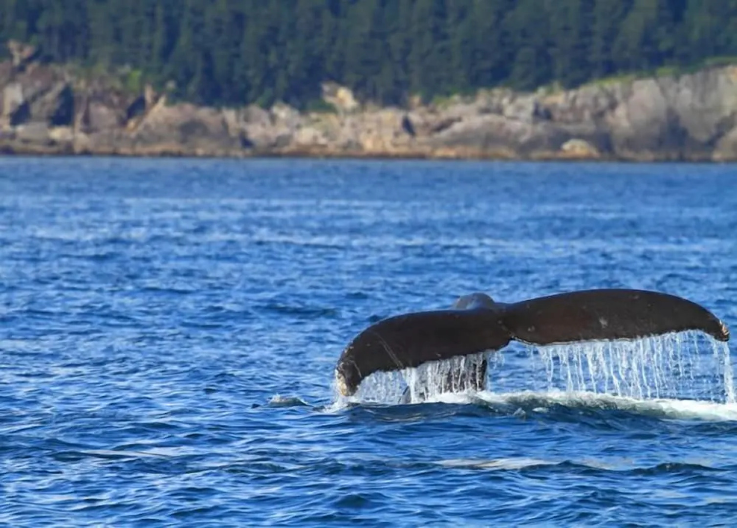 Alaska Adventure Unlimited Chalets