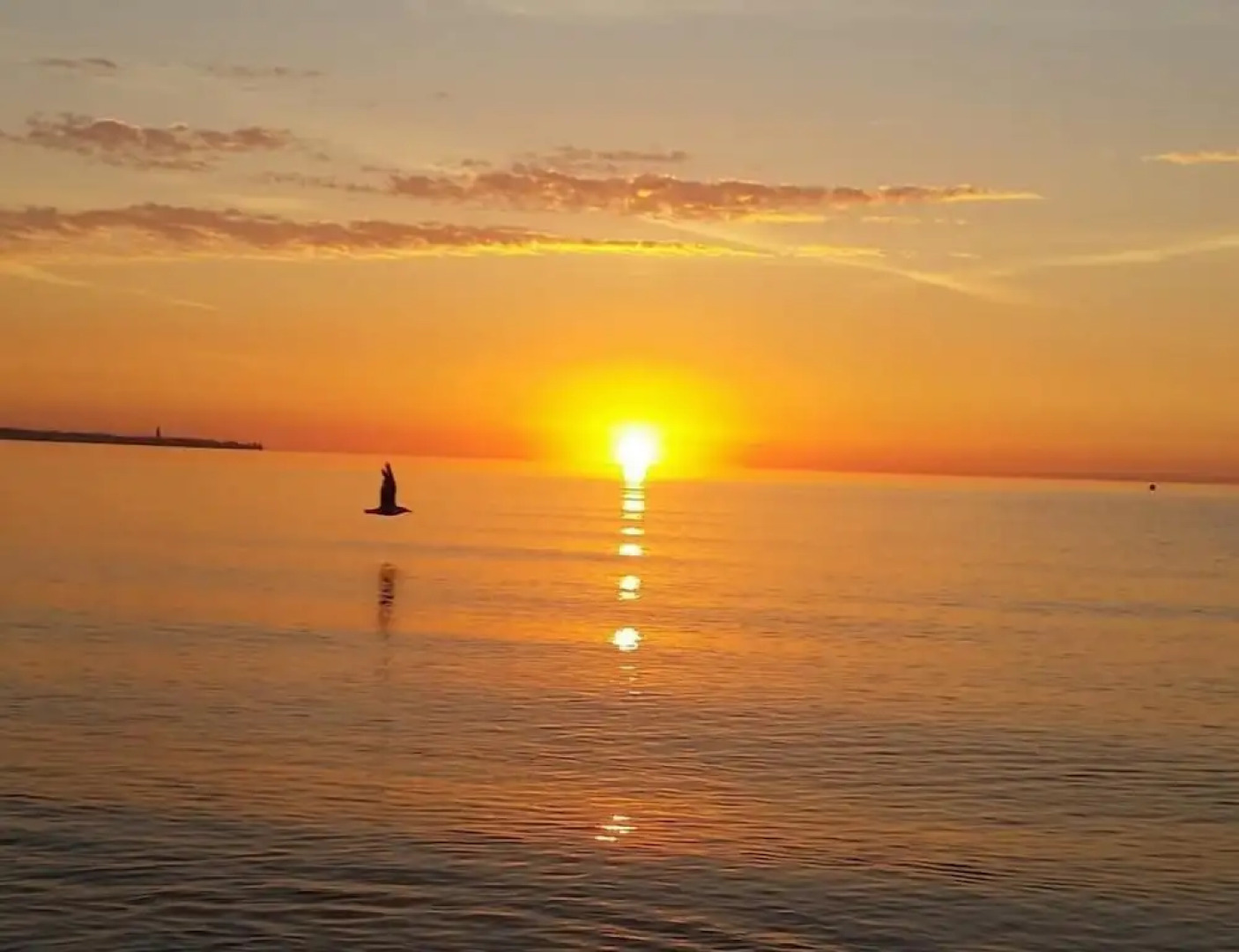 Appartements Summer Break