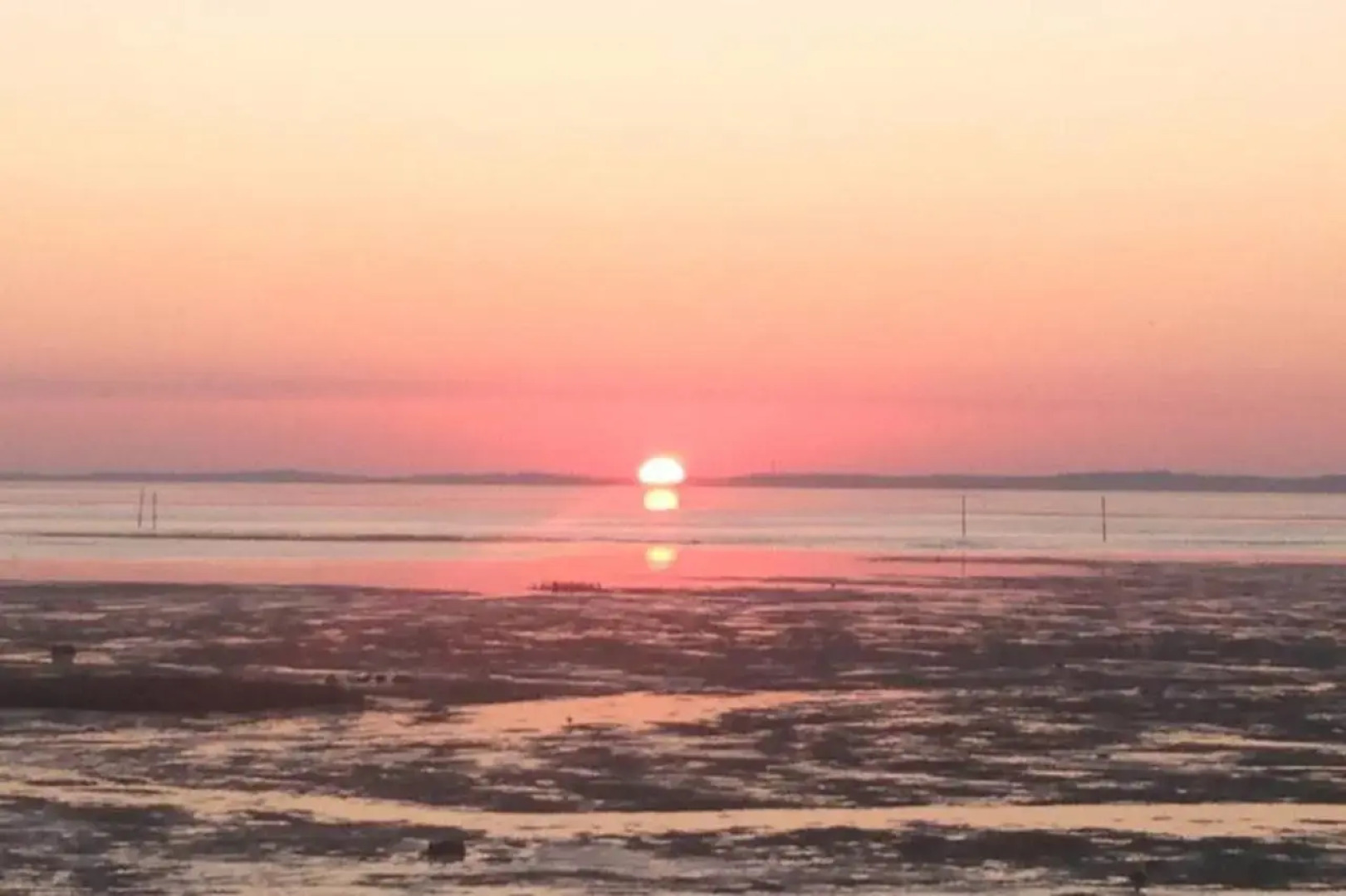 T2*** haut de gamme avec vue bassin