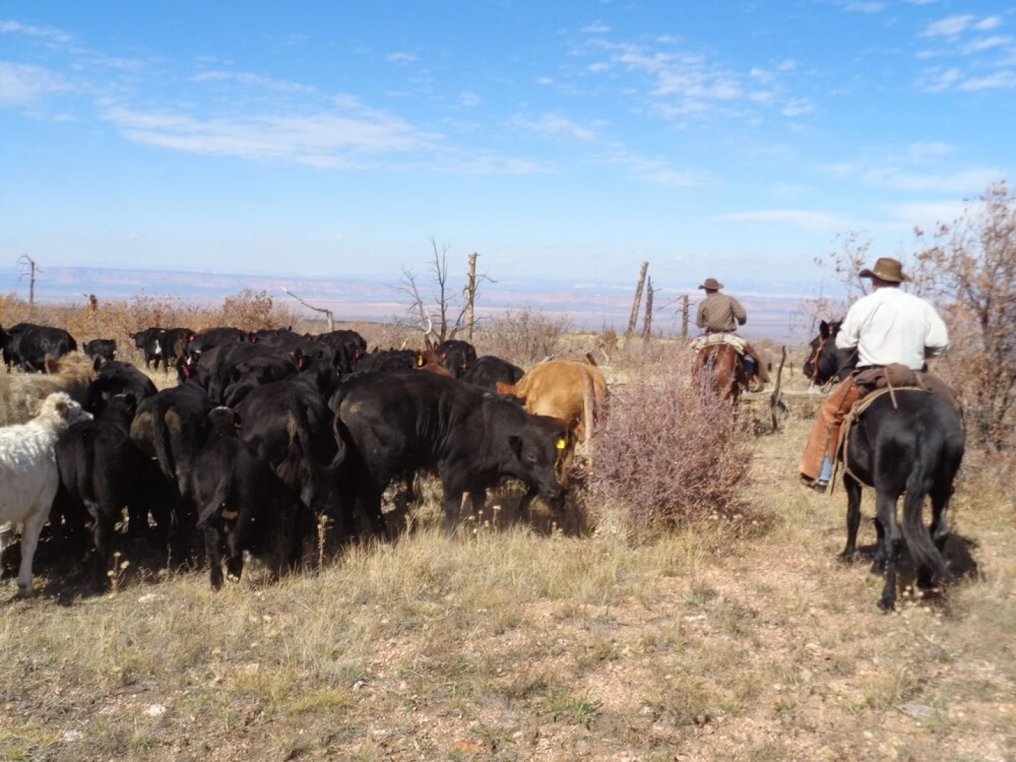 Grand Canyon Ranch & Outfitters