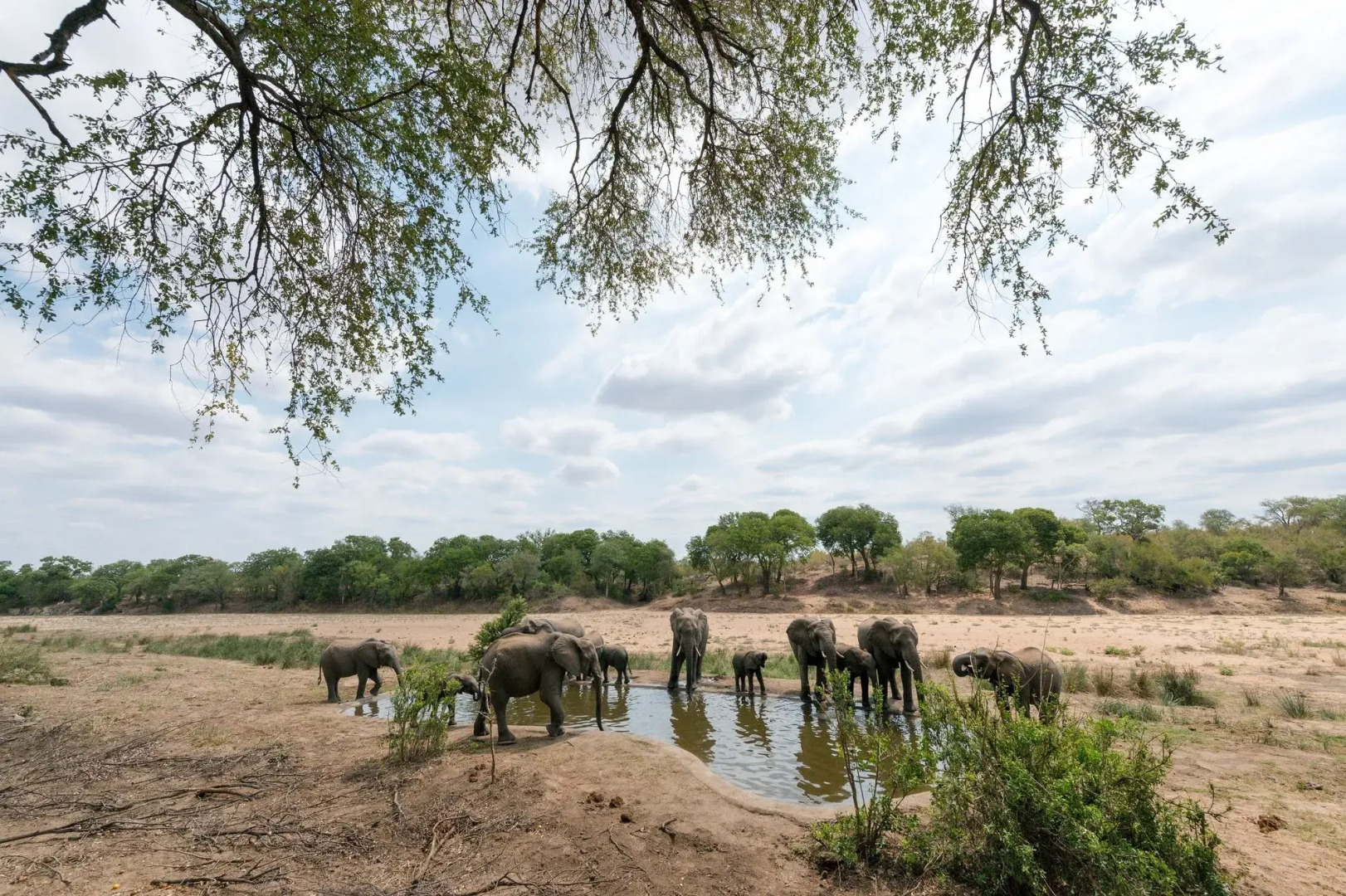 Simbavati River Lodge