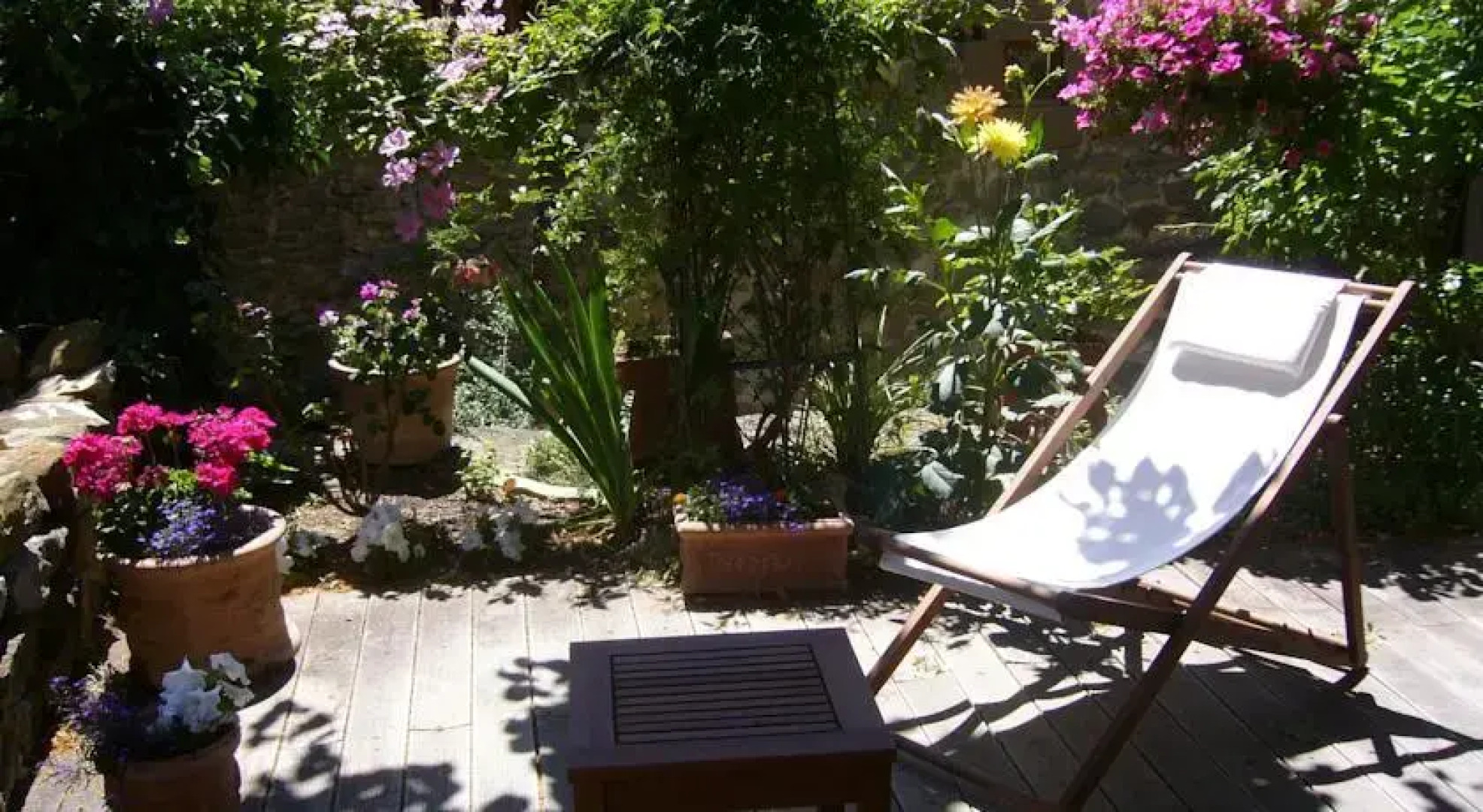 Les Roses Trémières