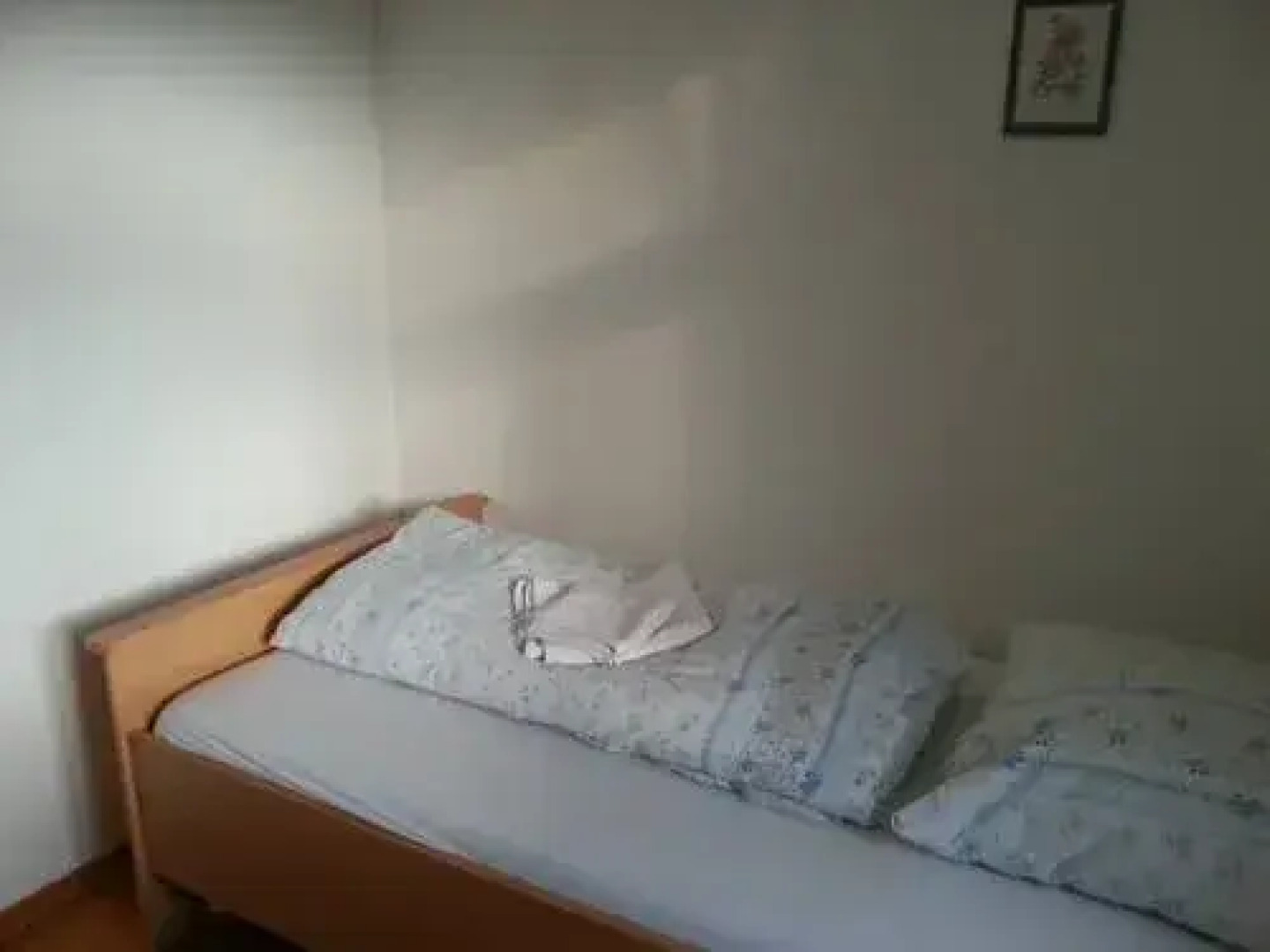 Hotel Gasthof Falken