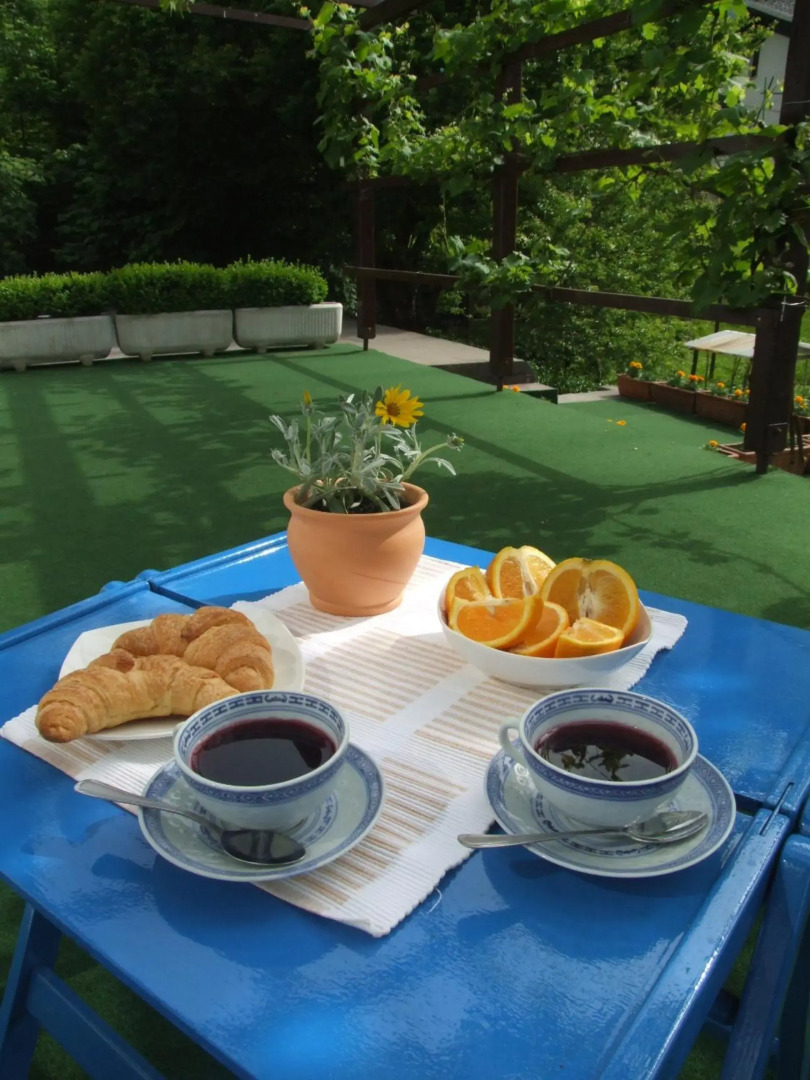 Apartment Mlinarjeva domačija