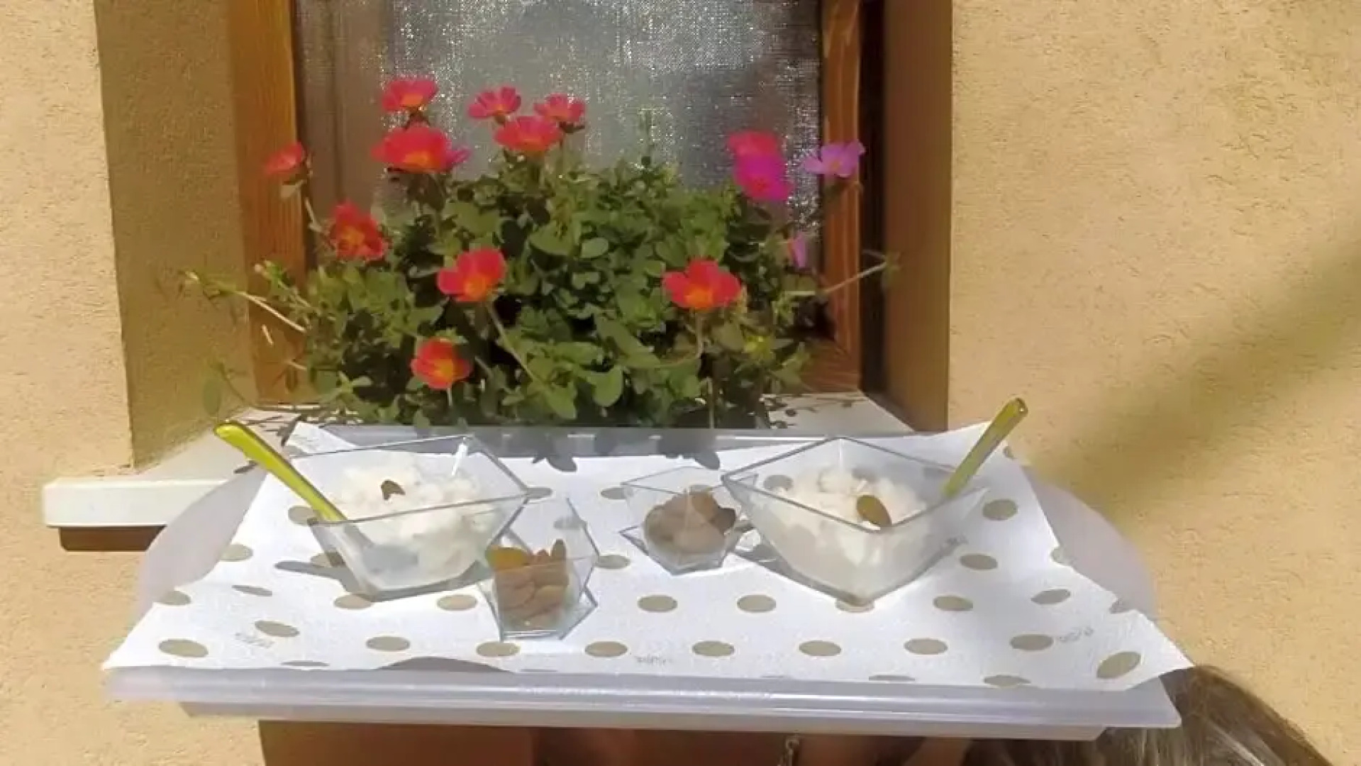 Abbraccio del Carrubo