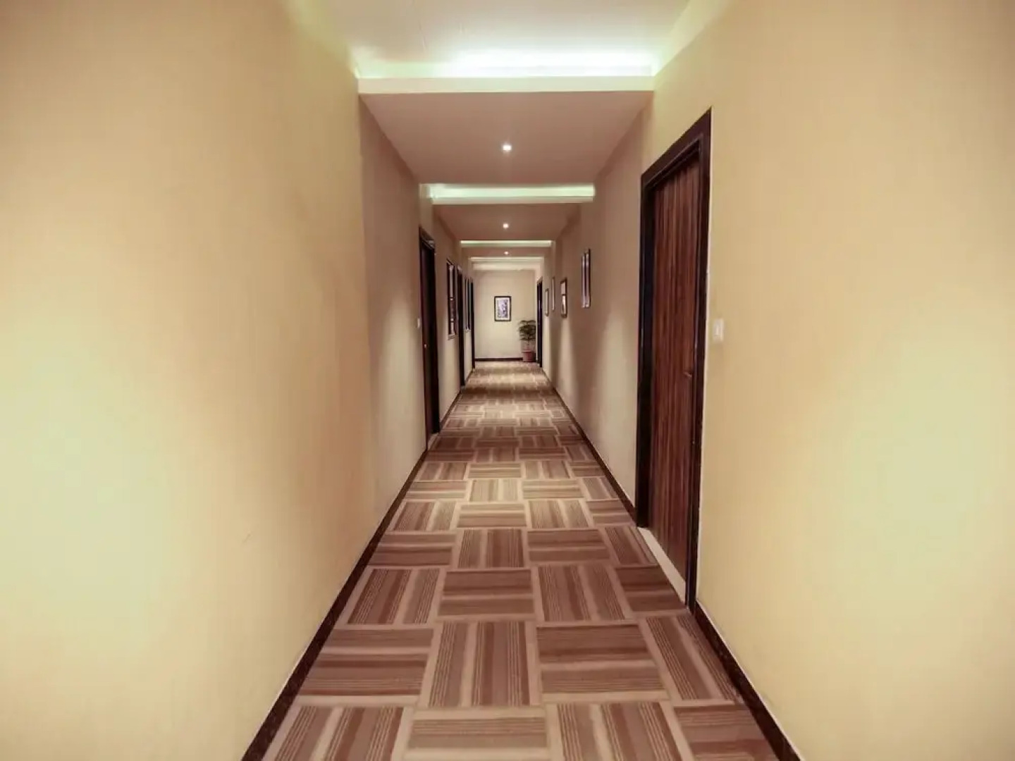 OYO 15123 Hotel Ryaan