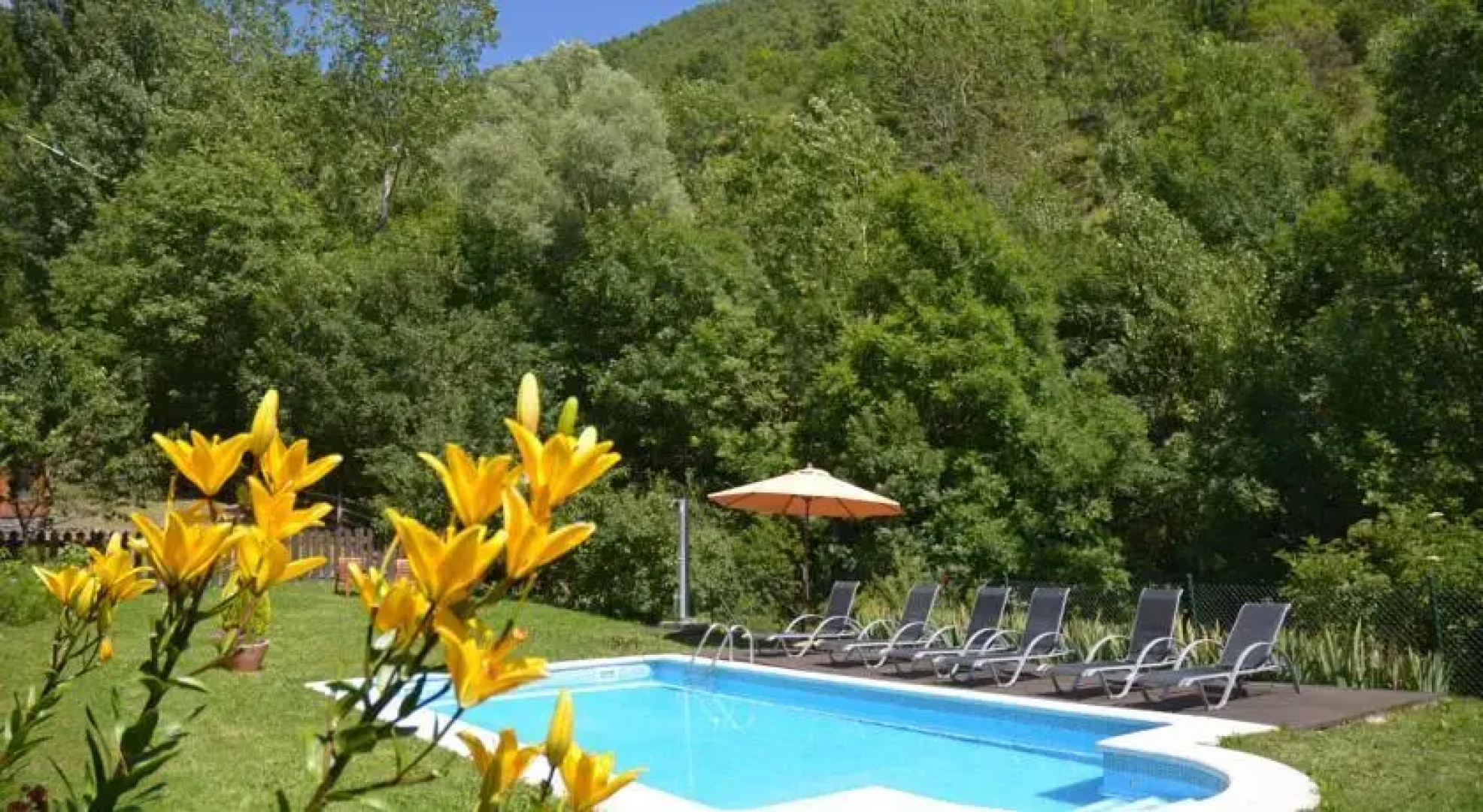 Casa Borrut