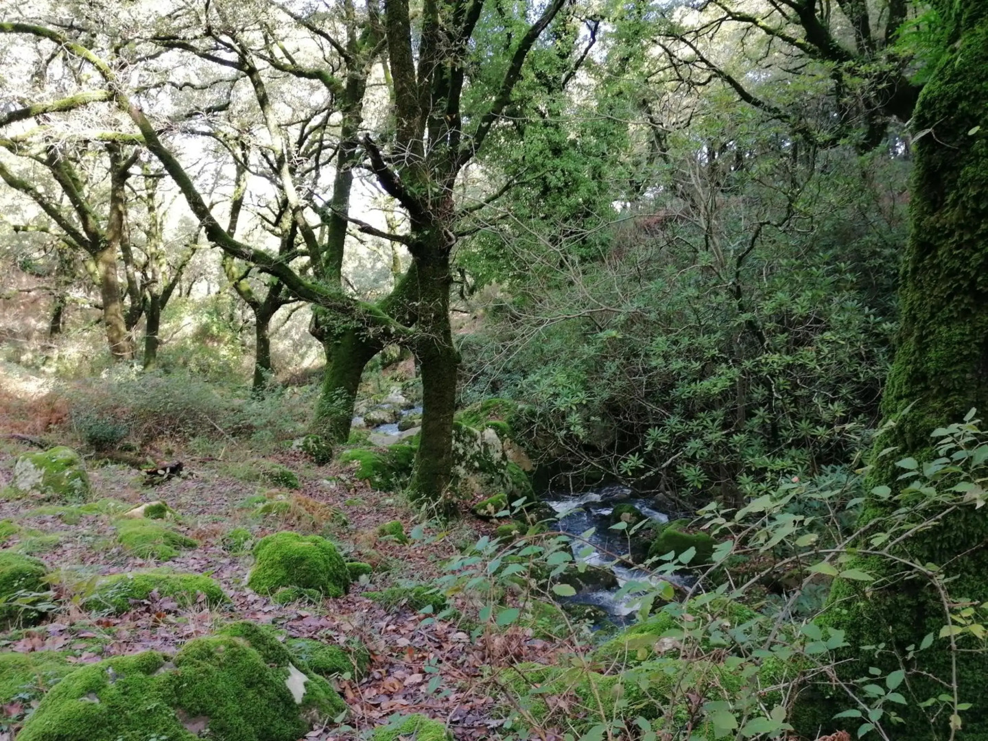 Casa Quercus con piscina privada