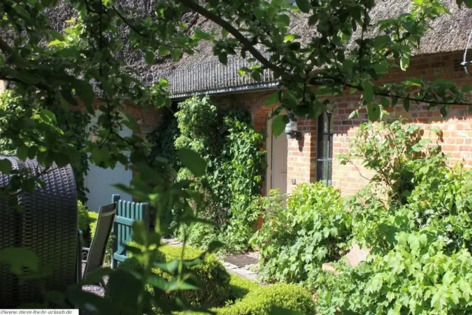 Reethus WE 2, Föhrkiek