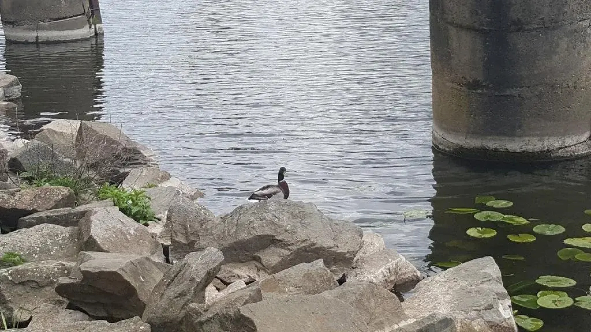 Penzion a Restaurace Na Netřebě