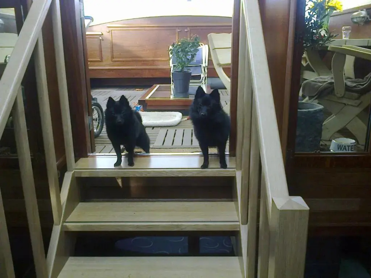 BlackPearl Boat&Breakfast