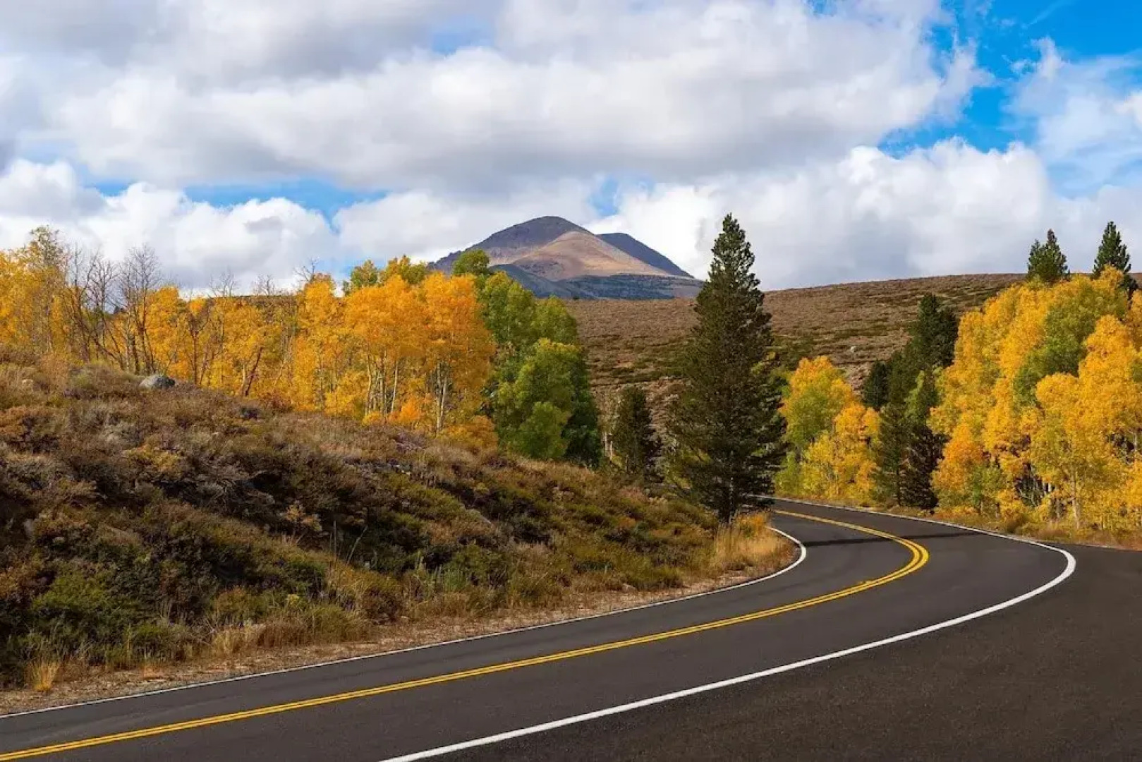 Yosemite Wonderland Chalet