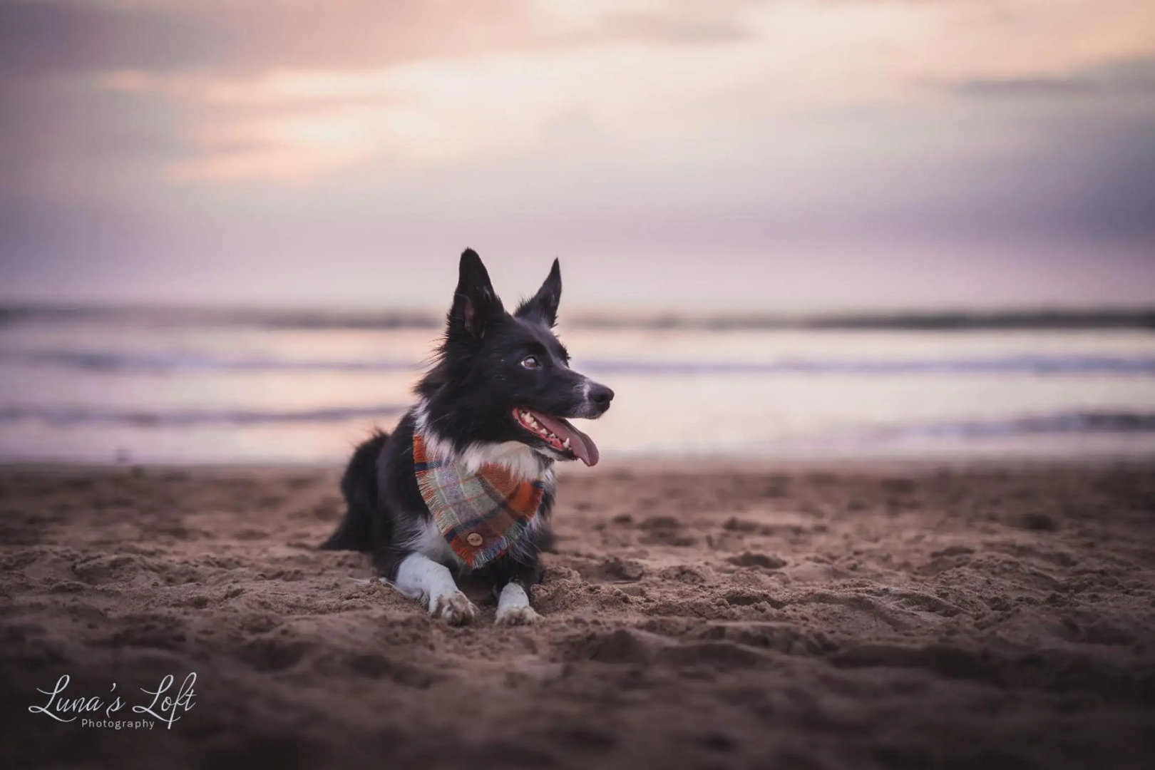 2 Middlecombe - Luxury Apartment at Byron Woolacombe, only 4 minute walk to Woolacombe Beach!