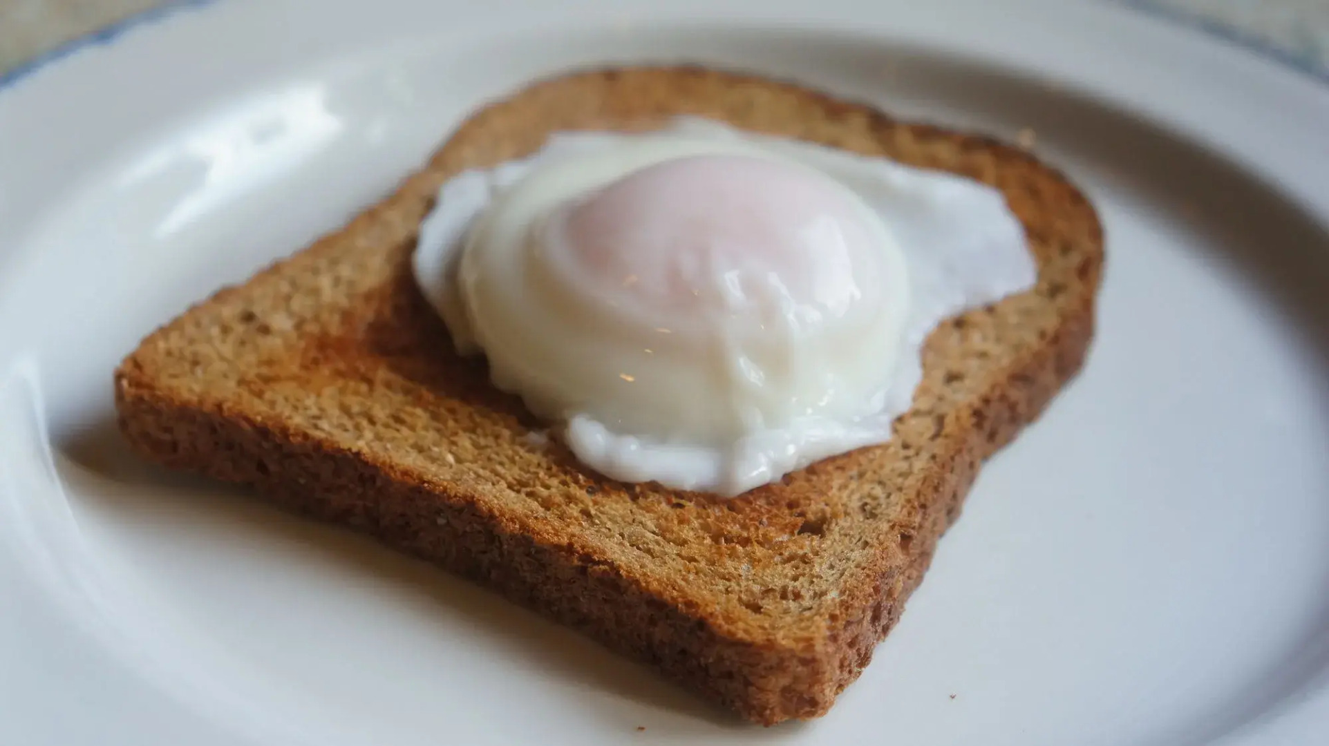 The Lawn Guest House