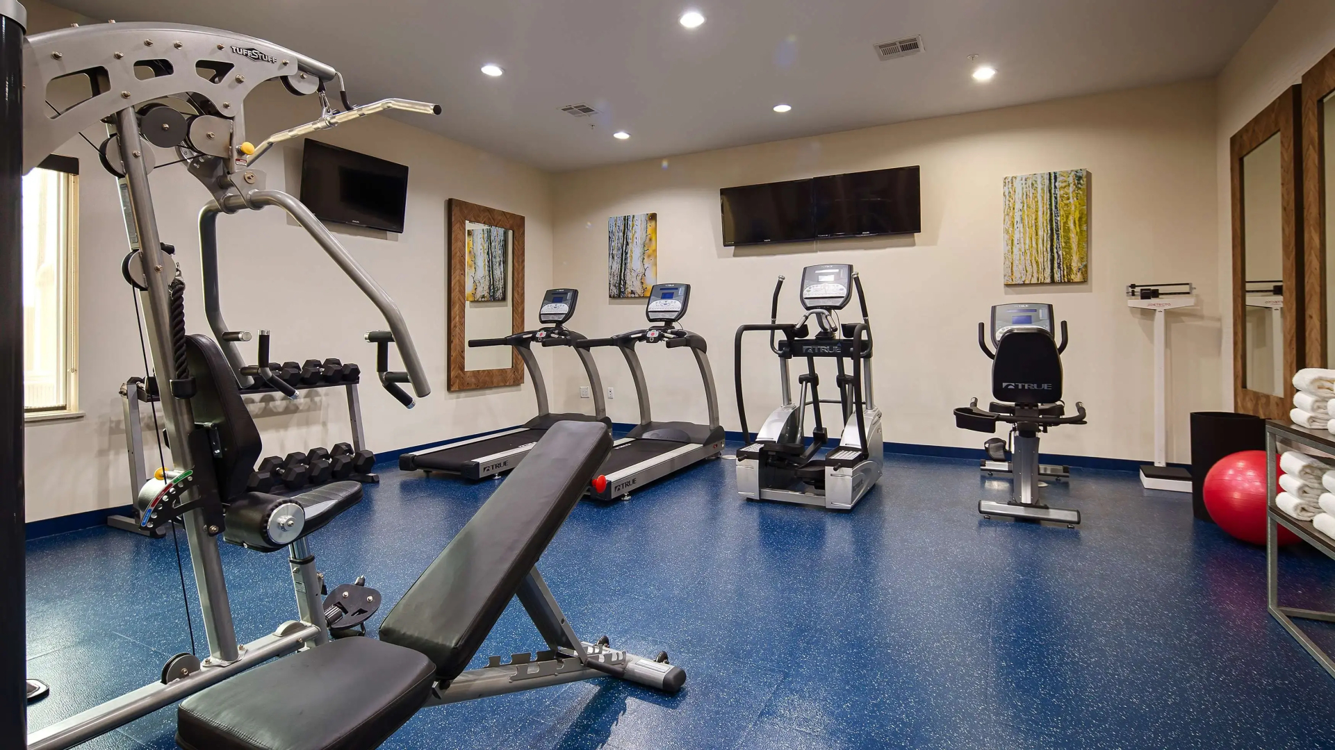 Best Western Premier Ashton Suites-Willowbrook