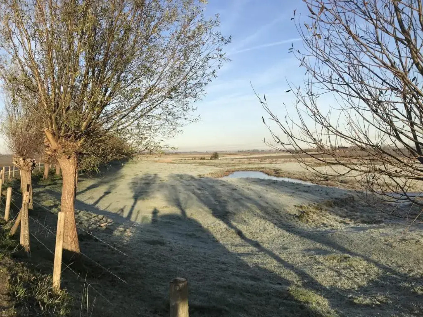 Holidayhouse - Lepelblad 44 Nieuwvliet-Bad