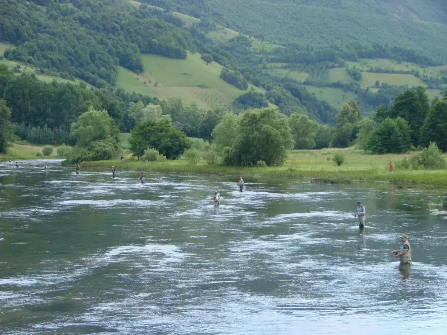 Bed and Breakfast Family Djukic