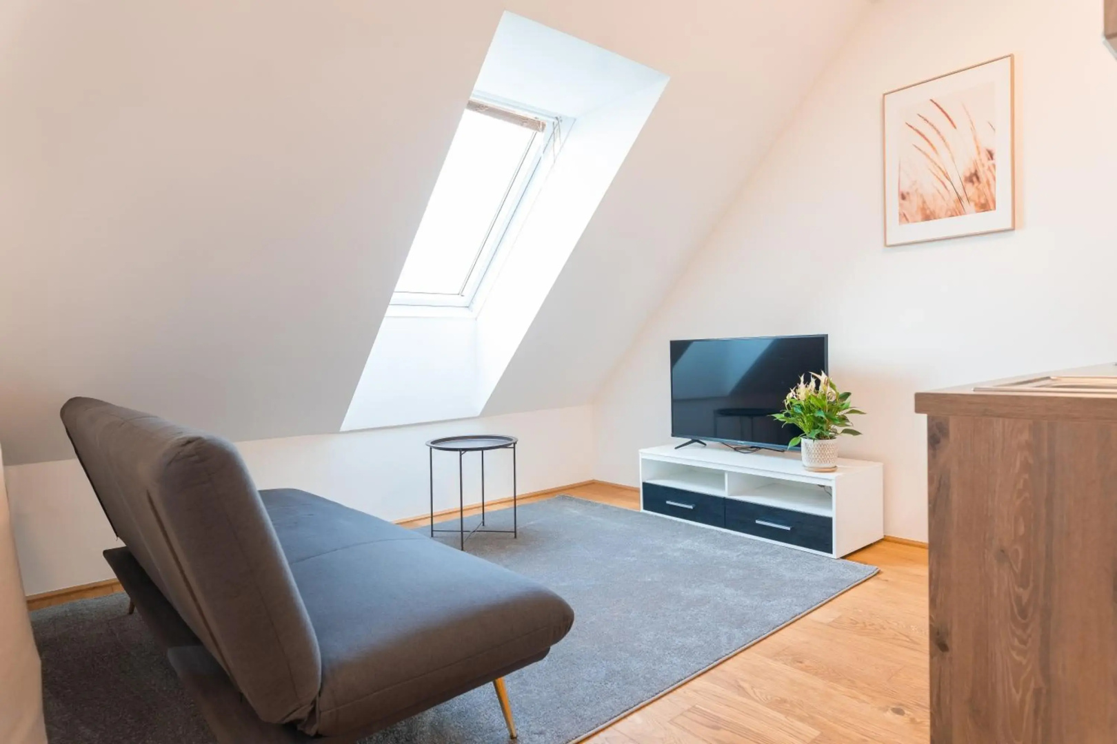 Apartment Hotel Triester
